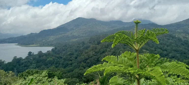 Buda Bali Journey - Bali Tour packages (9)